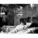 Une chambre claire